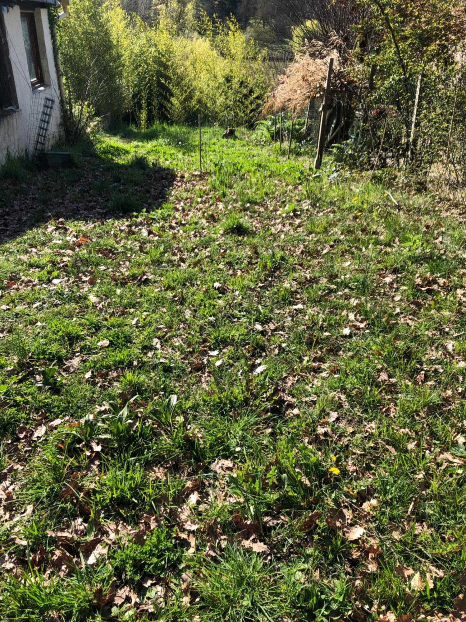 Logement Entier Aussonne Exterior foto